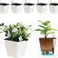 5.5 Inch Self Watering Plastic Planter with Water Level Indicator Pack of 6 - Matte White, Modern Decorative Planter Flower Pot for House Plants, Flowers, Herbs, African Violets,