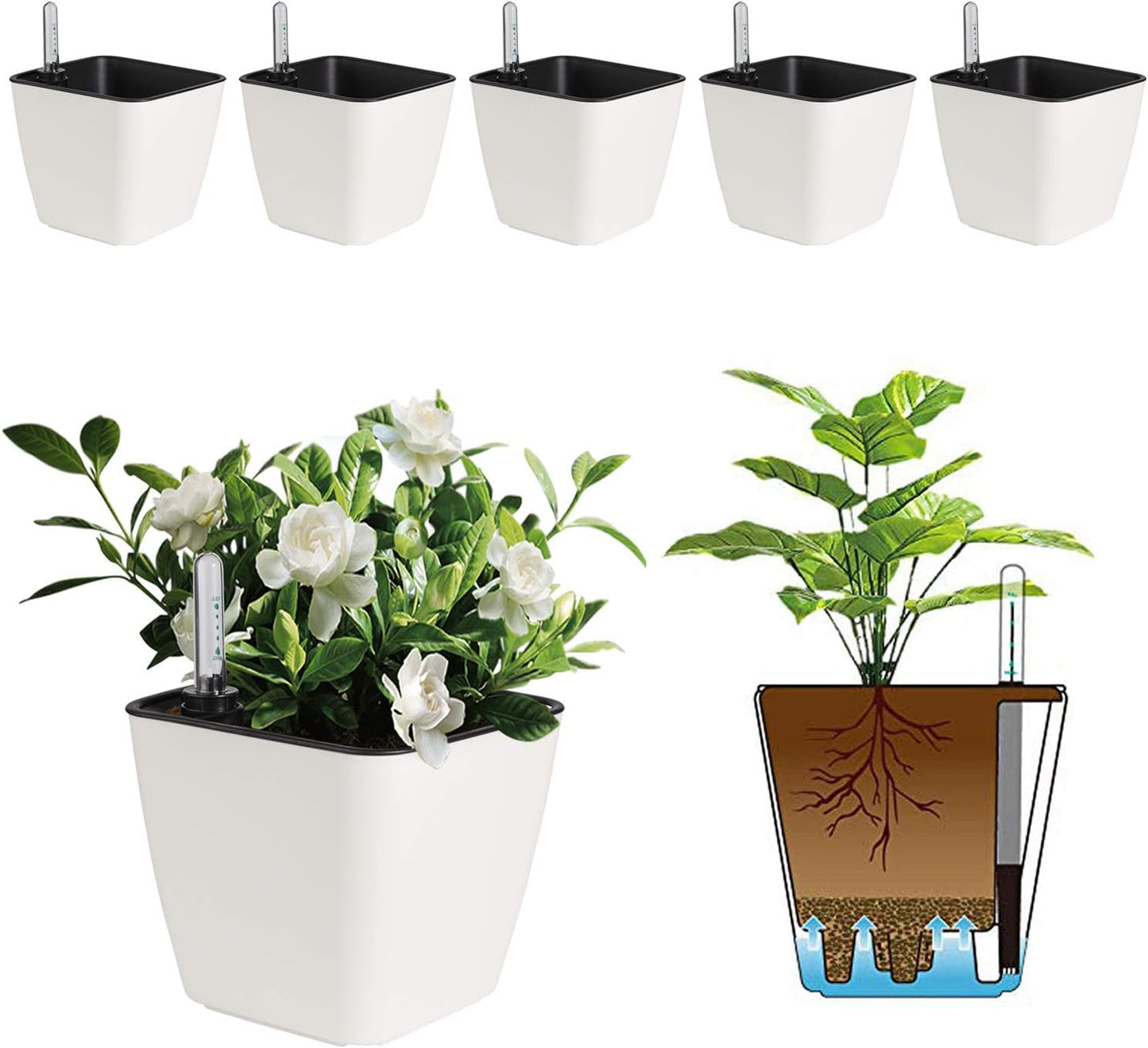 5.5 Inch Self Watering Plastic Planter with Water Level Indicator Pack of 6 - Matte White, Modern Decorative Planter Flower Pot for House Plants, Flowers, Herbs, African Violets,