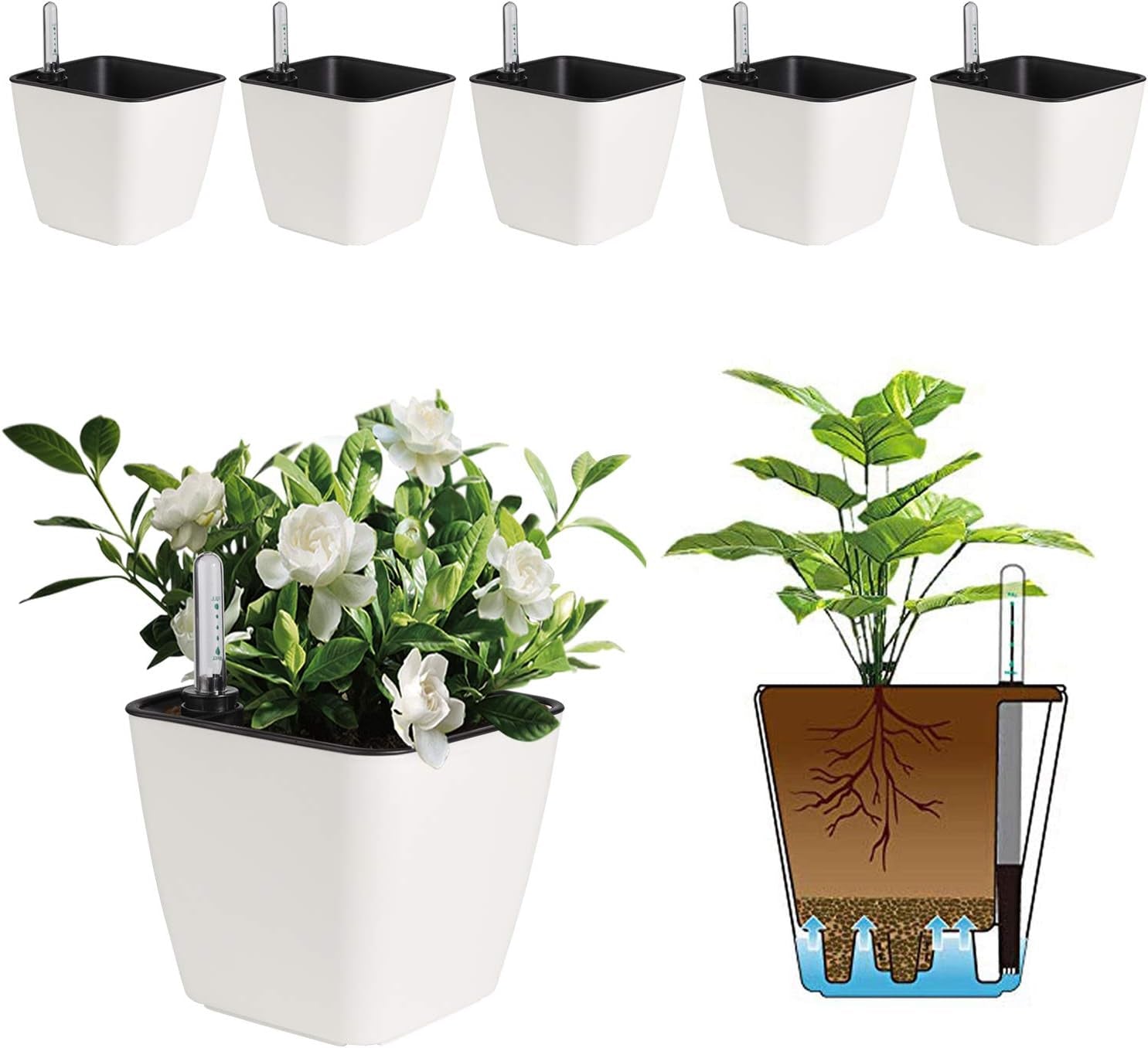 5.5 Inch Self Watering Plastic Planter with Water Level Indicator Pack of 6 - Matte White, Modern Decorative Planter Flower Pot for House Plants, Flowers, Herbs, African Violets,