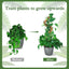 Moss Pole for Monstera Plants, 2 X 45 Inches Bendable Coir Moss Sticks for Large Monstera Cheese Plant Growth, Support Indoor Outdoor Plant