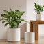 Set of 3 (10"+8"+6") Plant Pots with Drainage Hole & Plug for Indoor & Patio Decor, White Indoor Planters