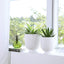 Stylish White Ceramic Planter Pots Set - 5" & 4.3" with Drainage Holes and Ice Crack Pattern for Indoor Plants