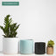 7 Inch (Set of Two) Melon Ceramic Planter. Classic Cylinder Plant Pot for House Plants and Indoor Plants (Drainage + Stopper Included).