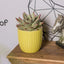 Vibrant Lemon Yellow Ceramic Plant Pots - Set of 2 (6.5" & 5.5") with Drainage Holes for Indoor Plants