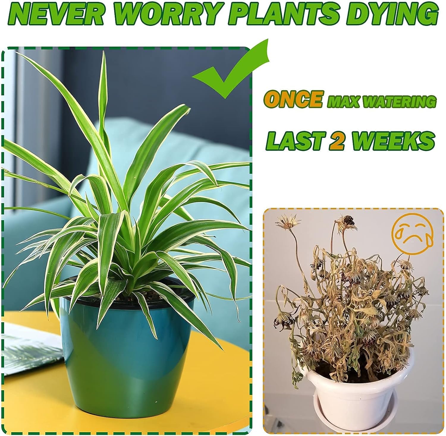 The three self-watering pots in Silver, Blue, and Rose Gold colors, arranged decoratively on a shelf or desk.