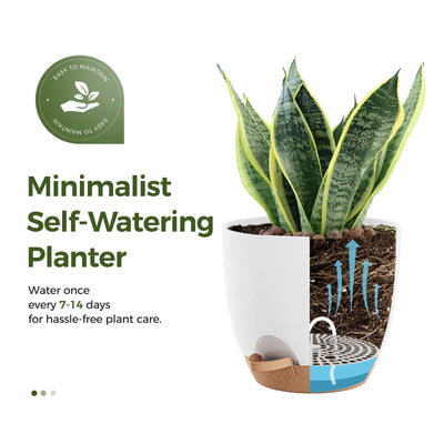JF Self Watering Pots 6 Pack Plant Pots Indoor Planters 5/5.5/6/6.5/7/8 Inches Flower Pots with High Drainage Holes and Deep Reservoir for Indoor Outdoor Garden Plants and Flowers, White with Brown