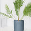Matte Grey Ceramic Cylinder Plant Pot with Drainage, 1 Pack 8 Inch Large Ceramic Modern round Planter Pot, Glazed Flower Pots with Removable Rubber Plug for Indoor Outdoor Plant