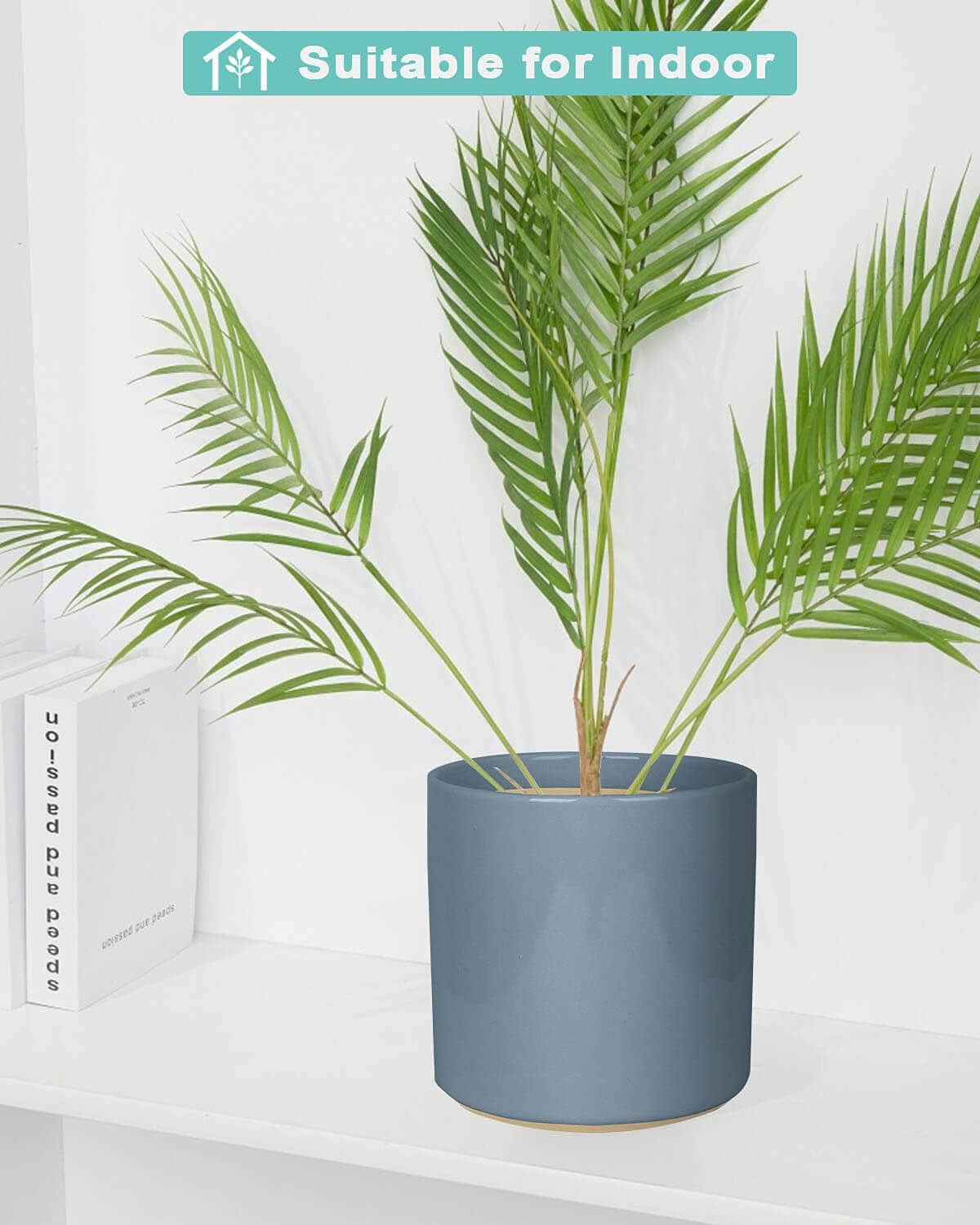 Matte Grey Ceramic Cylinder Plant Pot with Drainage, 1 Pack 8 Inch Large Ceramic Modern round Planter Pot, Glazed Flower Pots with Removable Rubber Plug for Indoor Outdoor Plant