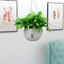 Bowl Shaped Sturdy Plastic Flowerpot, Garden Self Watering Hanging Planter, Creative Water Storage and Release Planter Pot, Indoor Outdoor Decorative Planting Pot