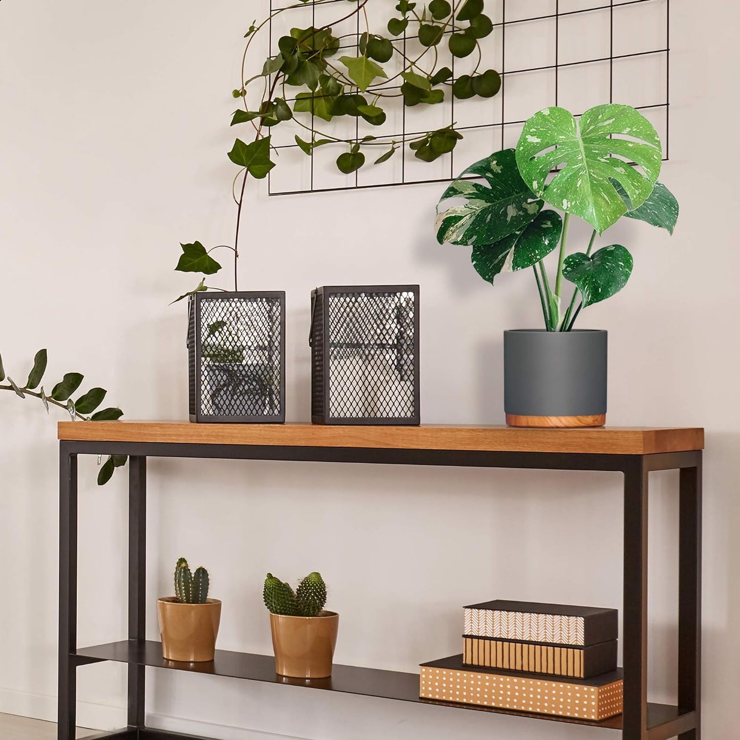 6 Inch Pot Perfect for Indoor Planter Pots- This Ceramic Planter Are Indoor Pots for Plants with Drainage Good as Orchid Pots with Holes- 6 in Planter Used as Ceramic Flower Pot - Plant Not Included