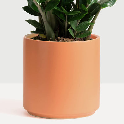 7 Inch (Set of Two) Melon Ceramic Planter. Classic Cylinder Plant Pot for House Plants and Indoor Plants (Drainage + Stopper Included).