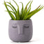 Head Design Planter Pot with Drainage Hole, Elegant Cement Face Planter for Flower (Grey)