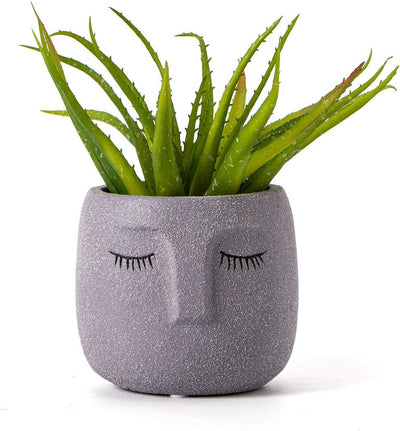 Head Design Planter Pot with Drainage Hole, Elegant Cement Face Planter for Flower (Grey)