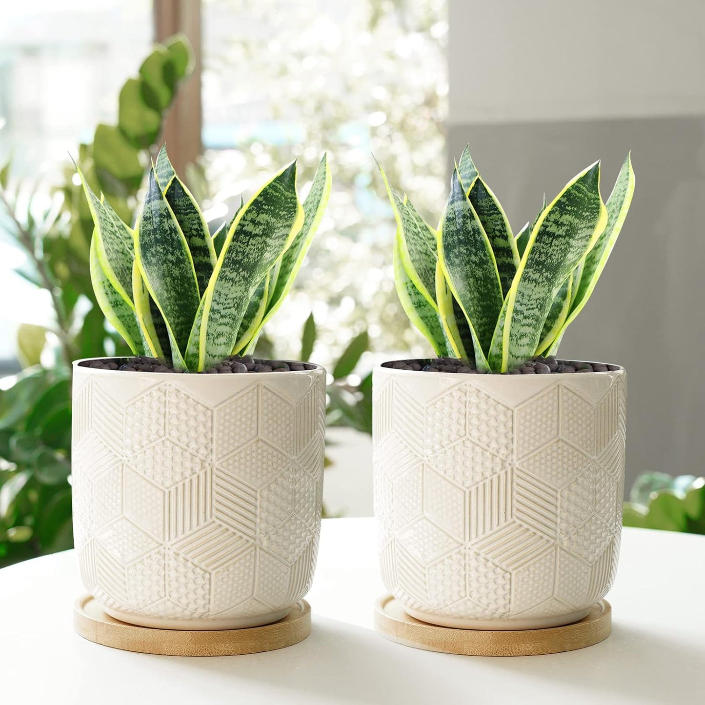 5.5 Inch Ceramic Planter with Drainage Hole and Saucer round Blue Flower Plant Pot for Indoor Plants Set of 2