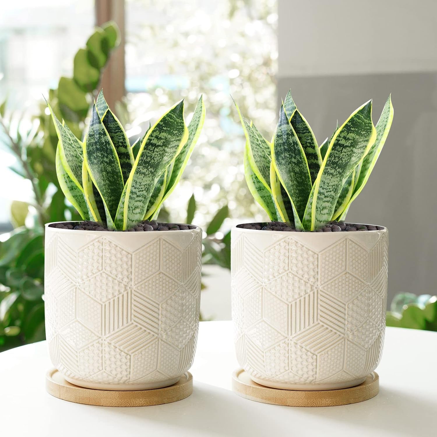 5.5 Inch Ceramic Planter with Drainage Hole and Saucer round Blue Flower Plant Pot for Indoor Plants Set of 2