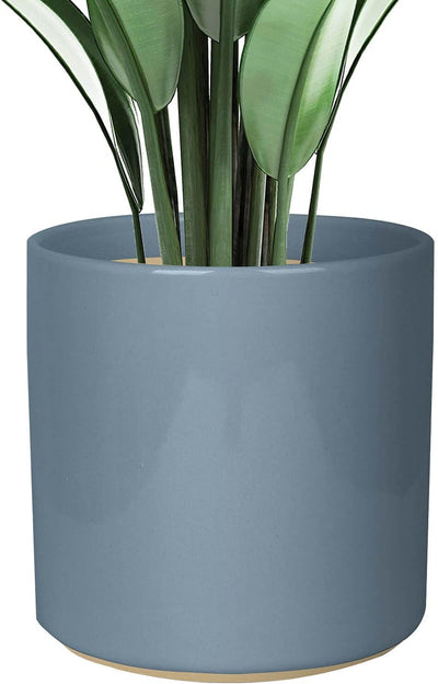 Matte Grey Ceramic Cylinder Plant Pot with Drainage, 1 Pack 8 Inch Large Ceramic Modern round Planter Pot, Glazed Flower Pots with Removable Rubber Plug for Indoor Outdoor Plant