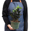ZZ 'Black Queen' suitable for use in the office or low-light room, showcasing its adaptability