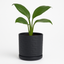 Stylish Black Ceramic Planter with Drain Hole - Size 6 Inch