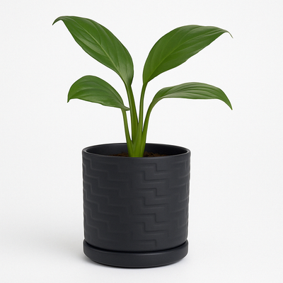 Stylish Black Ceramic Planter with Drain Hole - Size 6 Inch