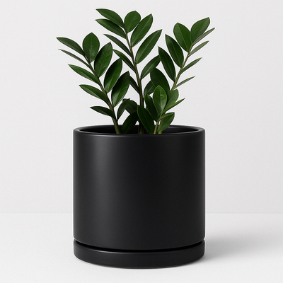 10-inch matte black ceramic planter with matching saucer, featuring a modern cylindrical design and ZZ plant, styled against a clean white background.

