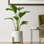 Set of 3 (10"+8"+6") Plant Pots with Drainage Hole & Plug for Indoor & Patio Decor, White Indoor Planters