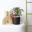 Stylish 6-Inch Black Ceramic Planter with Drain Hole - Perfect for Indoor Succulents & Outdoor Garden Decor