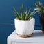 7 Inch Plant Pot with Drainage and Saucer, 5.5 Inch Ceramic Planters Indoor Plants, Flower Pot Outdoor, Marble Planter Pink Indoor Pots for Plants (7"+5.5" Plant Pot and Gold Saucers Inculded)…