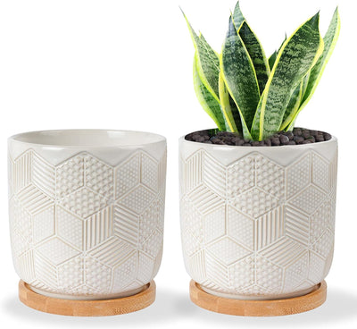 5.5 Inch Ceramic Planter with Drainage Hole and Saucer round Blue Flower Plant Pot for Indoor Plants Set of 2
