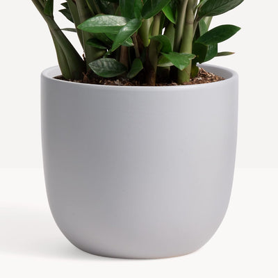 7 Inch (Set of Two) Grey Ceramic Planter. Contour Plant Pot for House Plants and Indoor Plants (Drainage + Stopper Included).