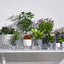 Self Watering Pots for Indoor Plants, 5 Pack 6/4.1/3.2 Inch Flower Pot Modern Decorative Plastic Planter with Extra Large Water Storage for All House Plants, Flowers, Herbs(White)