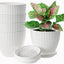 Plastic Planter Pots for Plants, 5 Pack 6 Inch Flower Pots with Drainage Holes and Saucers, Modern Stylish Indoor Outdoor Garden Pots for All Houseplants, Succulent, Home & Office Décor, White