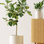 Set of 3 (10"+8"+6") Plant Pots with Drainage Hole & Plug for Indoor & Patio Decor, White Indoor Planters