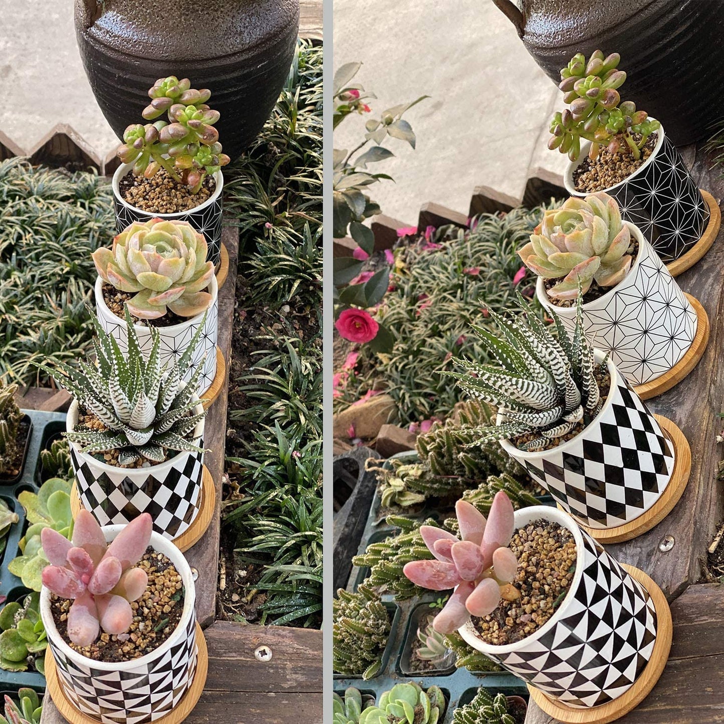 Set of 4 Stylish Ceramic Succulent Planter Pots with Drain Holes & Bamboo Trays – Perfect for Indoor & Outdoor Cacti and Flowers