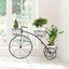 Tricycle Plant Stand: Parisian Style Flower Pot Cart Holder, Ideal Gift for Plant Lovers, Black