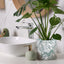 Stylish Monstera Cement Planter - 6 Inch Decorative Pot with Drainage for Indoor & Outdoor Plants - Unique Flower Pot Design (Plants Not Included)