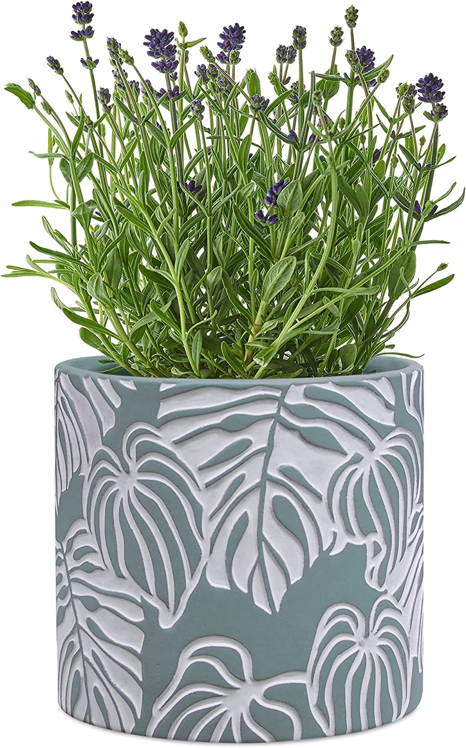 Stylish Monstera Cement Planter - 6 Inch Decorative Pot with Drainage for Indoor & Outdoor Plants - Unique Flower Pot Design (Plants Not Included)