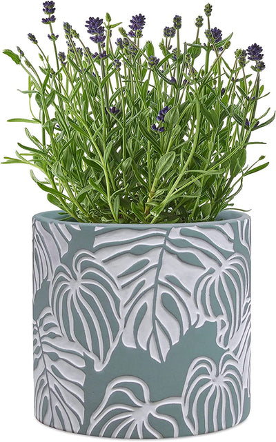 Stylish Monstera Cement Planter - 6 Inch Decorative Pot with Drainage for Indoor & Outdoor Plants - Unique Flower Pot Design (Plants Not Included)
