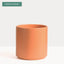 7 Inch (Set of Two) Melon Ceramic Planter. Classic Cylinder Plant Pot for House Plants and Indoor Plants (Drainage + Stopper Included).