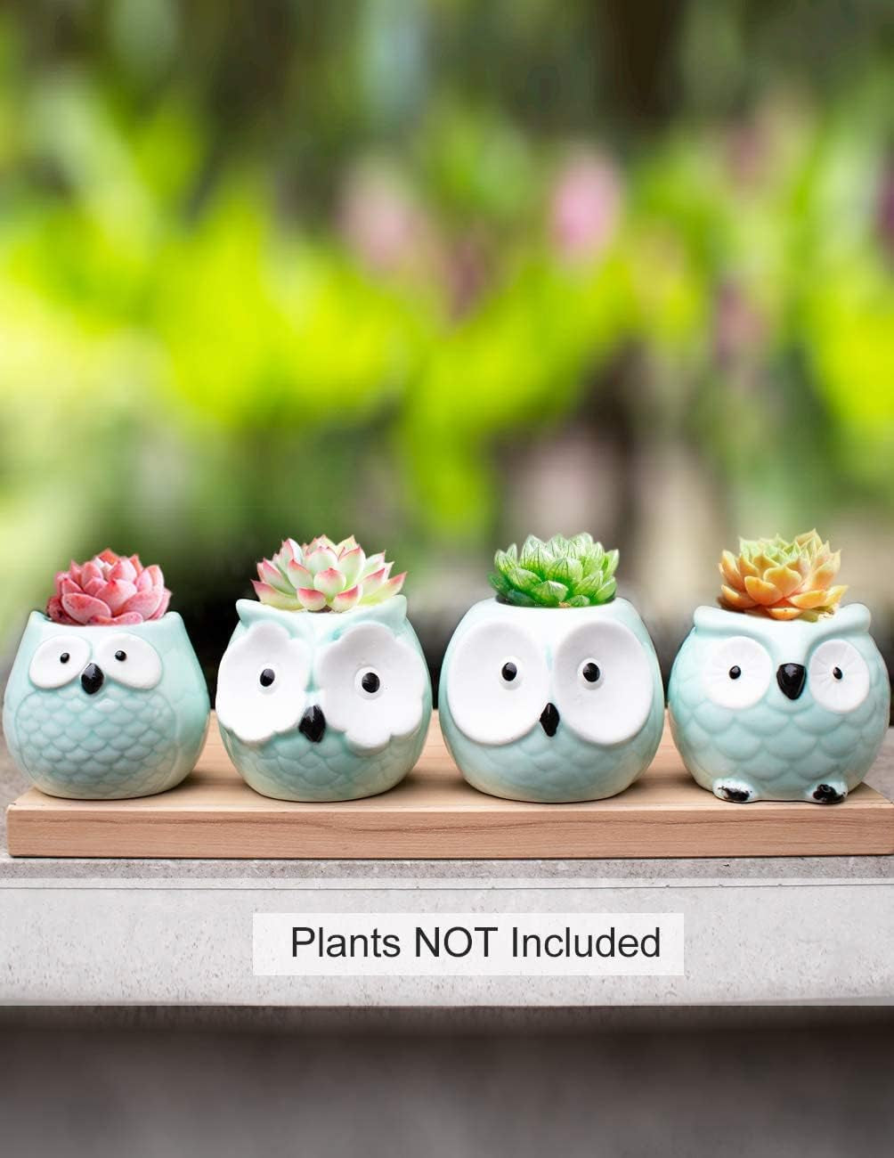 Adorable Turquoise Mini Owl Ceramic Succulent Planter Set of 4 with Drainage Hole & Saucer