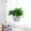 Bowl Shaped Sturdy Plastic Flowerpot, Garden Self Watering Hanging Planter, Creative Water Storage and Release Planter Pot, Indoor Outdoor Decorative Planting Pot