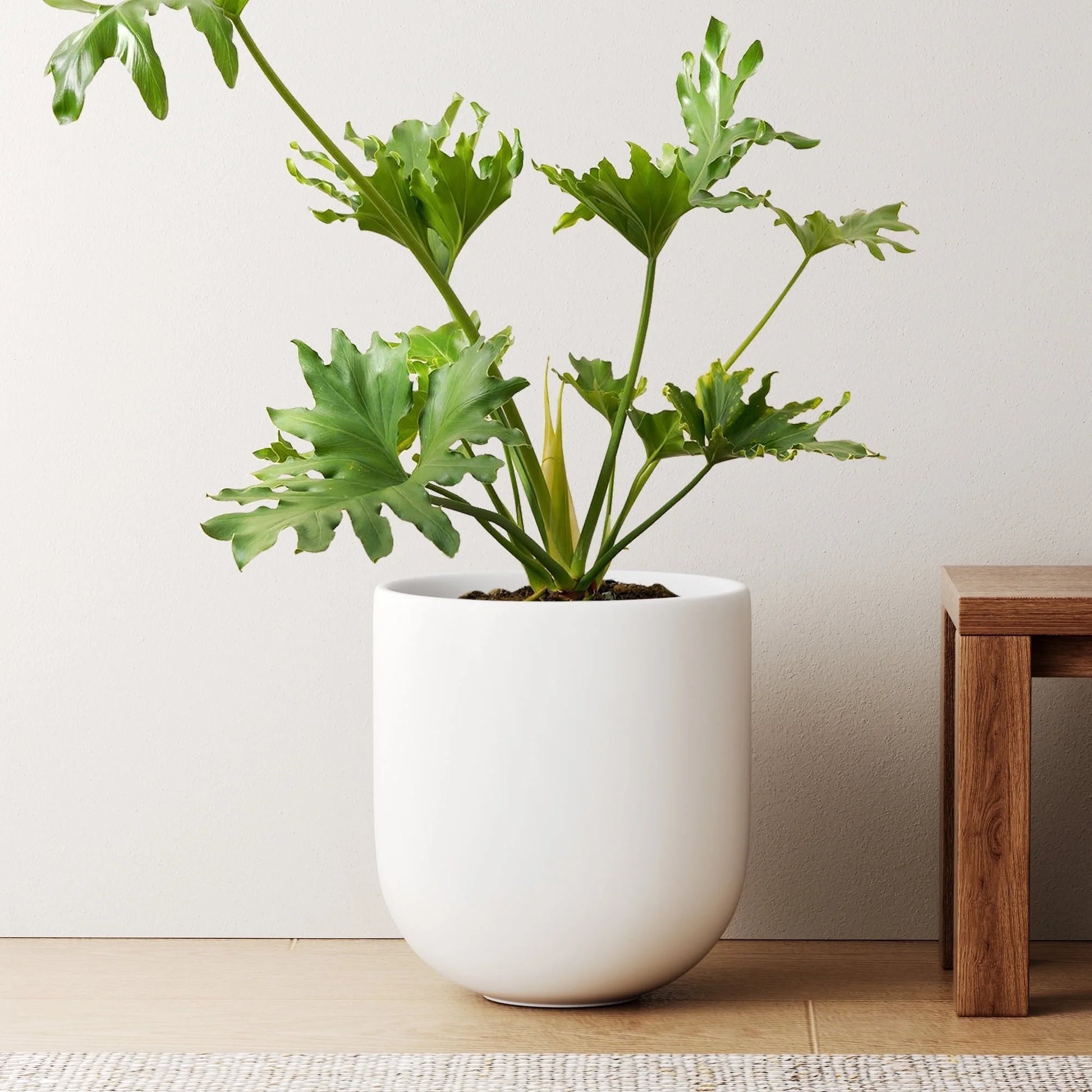 10" Ceramic Plant Pots, Indoor Planter with Drainage Hole & Plug, Ceramic Planter for Outdoor Decorative, White Planter