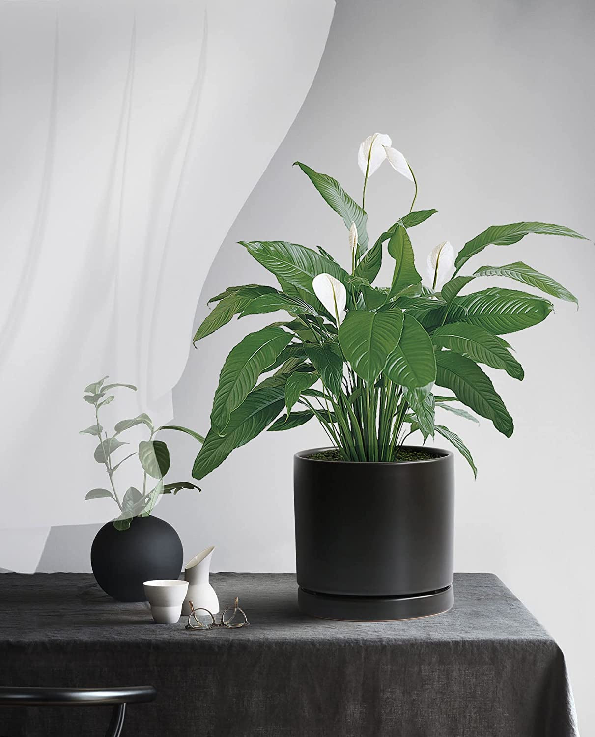 Stylish 8-Inch Matte Black Ceramic Planter Pot with Drainage Hole & Saucer - Perfect for Indoor Plants like Snake Flower, Monstera, and Fiddle Leaf Fig!
