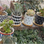 Set of 4 Stylish Ceramic Succulent Planter Pots with Drain Holes & Bamboo Trays – Perfect for Indoor & Outdoor Cacti and Flowers
