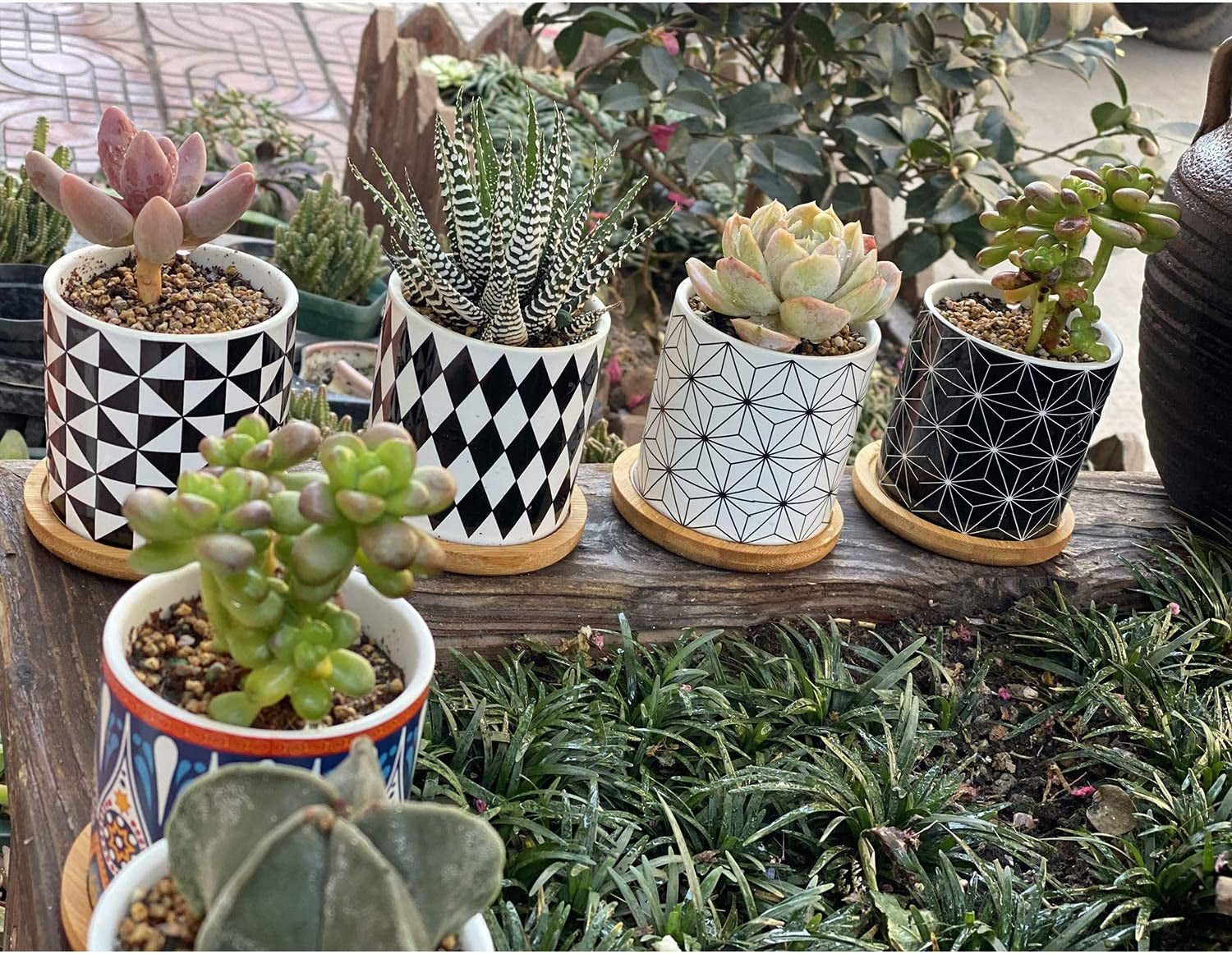 Set of 4 Stylish Ceramic Succulent Planter Pots with Drain Holes & Bamboo Trays – Perfect for Indoor & Outdoor Cacti and Flowers