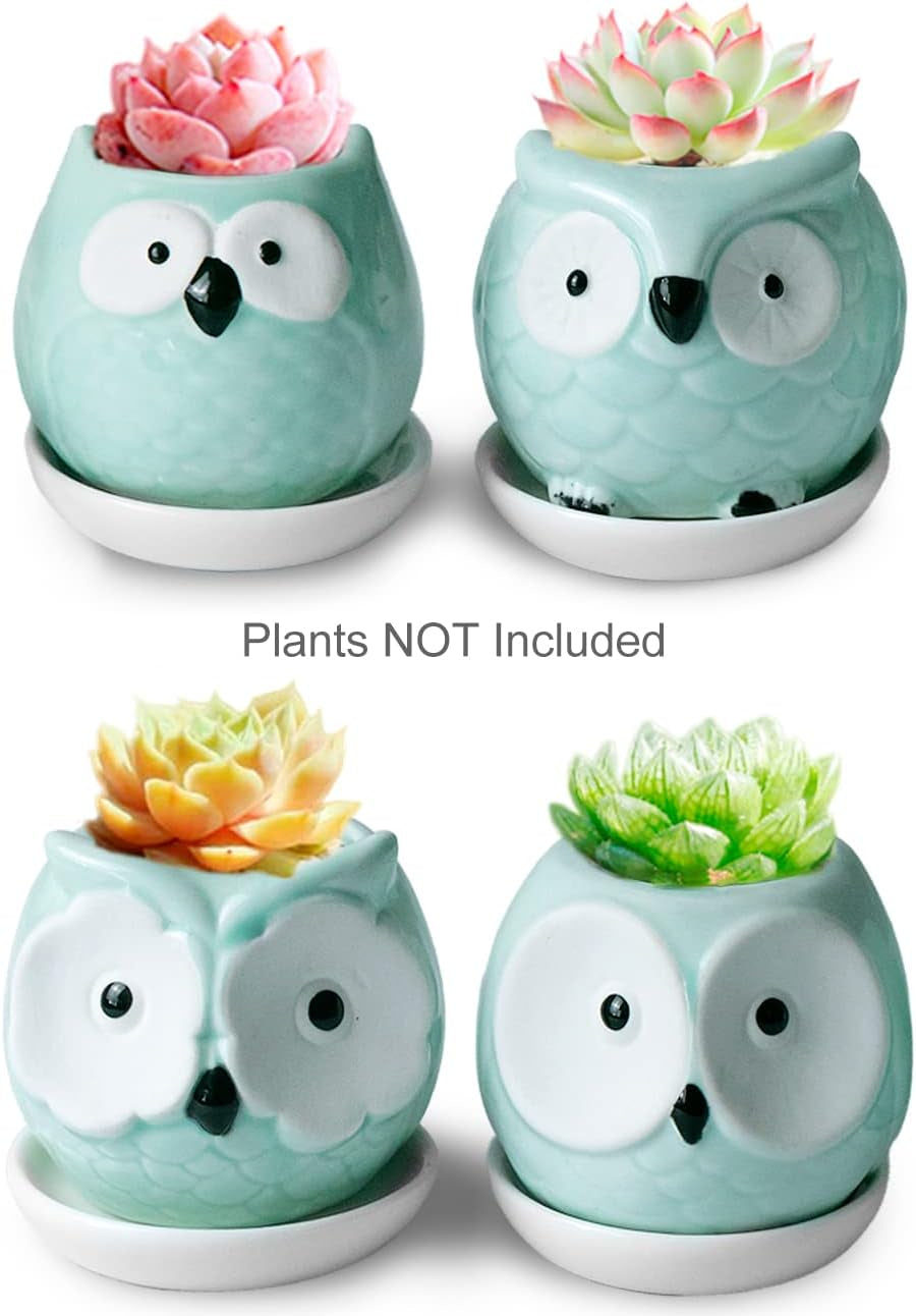 Adorable Turquoise Mini Owl Ceramic Succulent Planter Set of 4 with Drainage Hole & Saucer