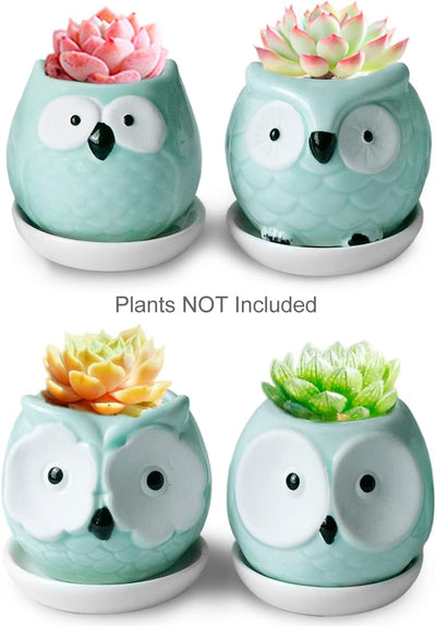 Adorable Turquoise Mini Owl Ceramic Succulent Planter Set of 4 with Drainage Hole & Saucer