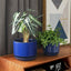 Ceramic Plant Pots, 4.3"+5.3"+6.8" Flower Pots with Drainage Hole & Saucer, Pack of Three Planter, Sapphire Blue