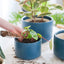 Elegant Navy Ceramic Plant Pots Set of 3 - Large Indoor/Outdoor Planters with Drainage Holes, Perfect for All Your Home & Garden Flowers