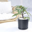 Stylish 6-Inch Black Ceramic Planter with Drain Hole - Perfect for Indoor Succulents & Outdoor Garden Decor