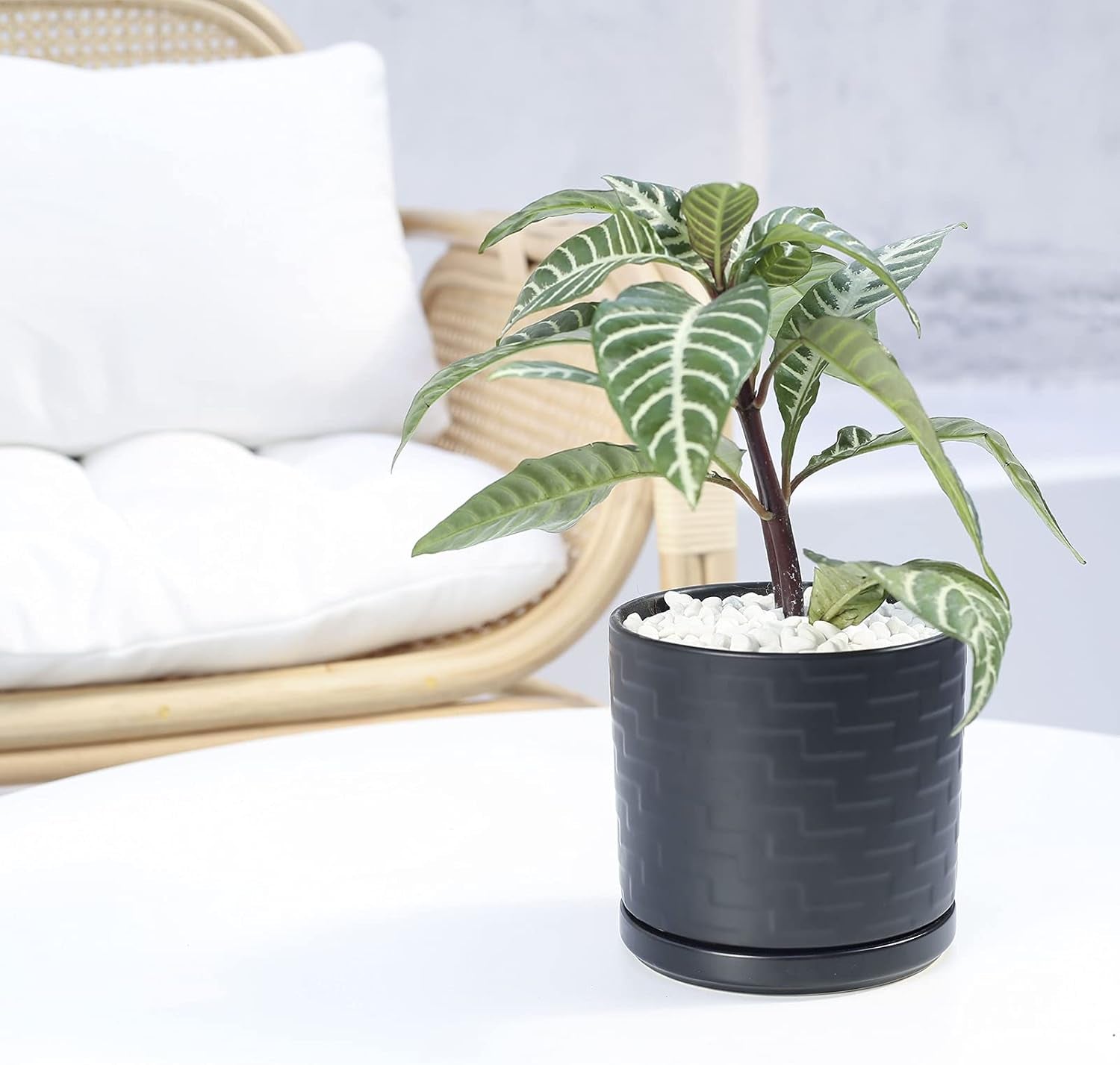 Stylish 6-Inch Black Ceramic Planter with Drain Hole - Perfect for Indoor Succulents & Outdoor Garden Decor